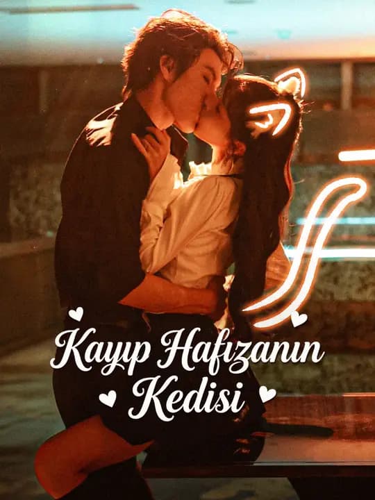Kayıp Hafızanın Kedisi